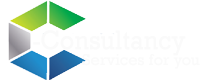 e-consultancy services